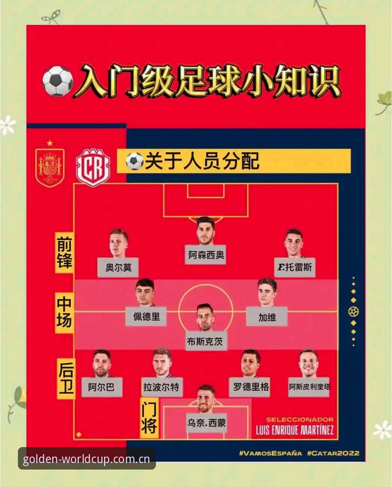 世界杯精准分析 世界杯精准分析实用指南:从数据查询到决策的完整路径